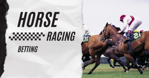 Horse Racing Bets